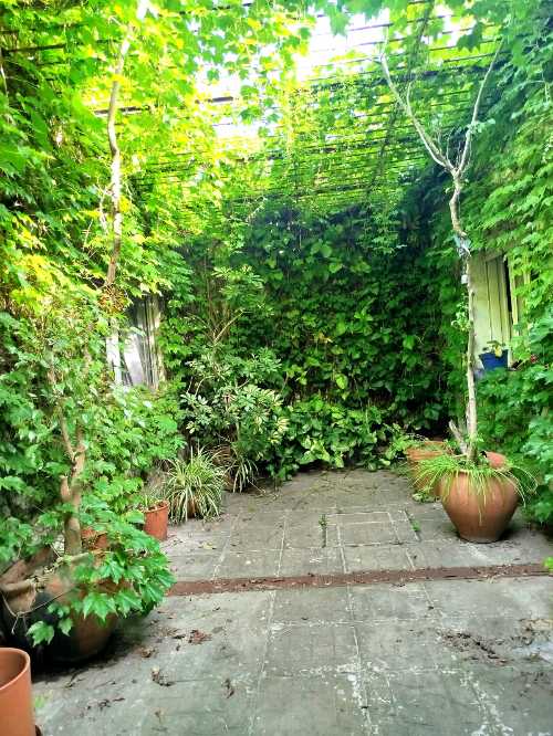 Patio interno